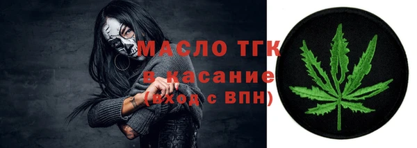 тгк Пересвет