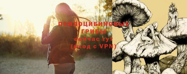 дурь Верхнеуральск