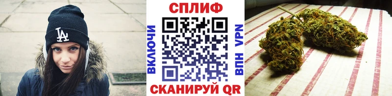Шишки марихуана сатива  купить закладку  Павлово 